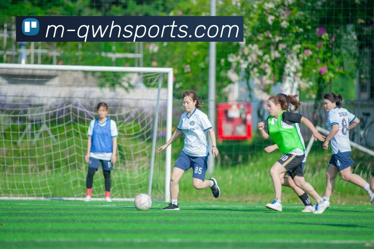 体育下注平台生态图